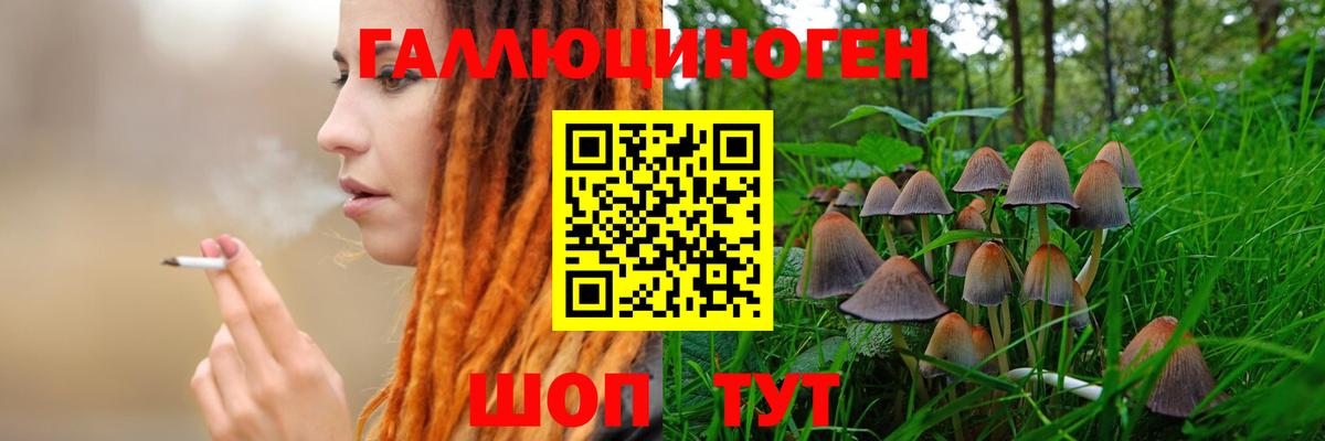 Полевской  Галлюциногенные грибы Psilocybe  Вход с VPN 